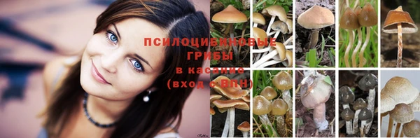 гашиш Майский