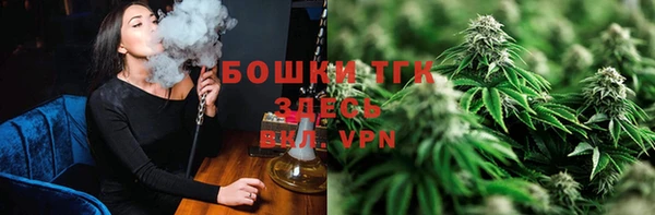 сатива Абинск