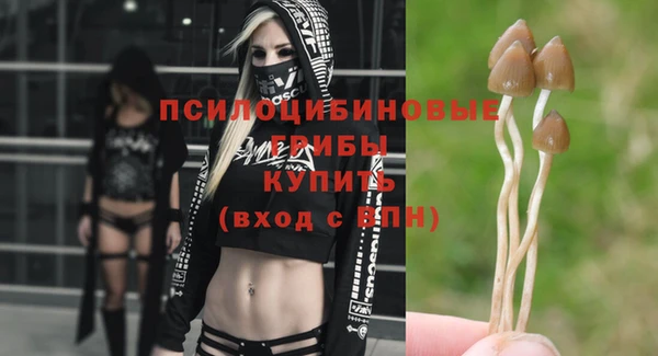 гидропоника Абдулино