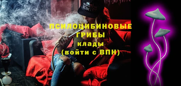 прущая мука Абаза