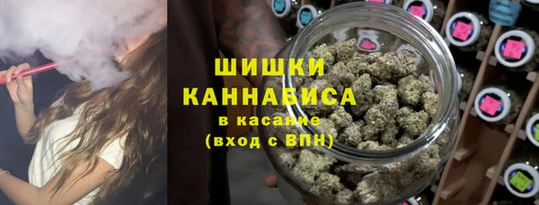 сатива Абинск
