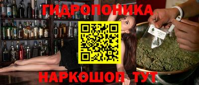 твердый Пугачёв