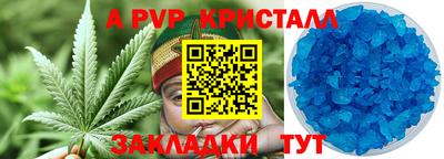 твердый Пугачёв