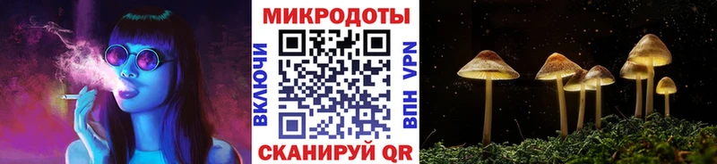 купить закладку  МЕГА ТОР  Псилоцибиновые грибы мицелий  Благовещенск 
