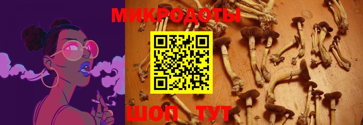 Галлюциногенные грибы GOLDEN TEACHER Благовещенск